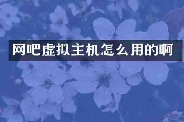 网吧虚拟主机怎么用的啊