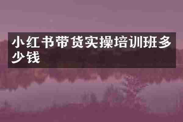 小红书带货实操培训班多少钱