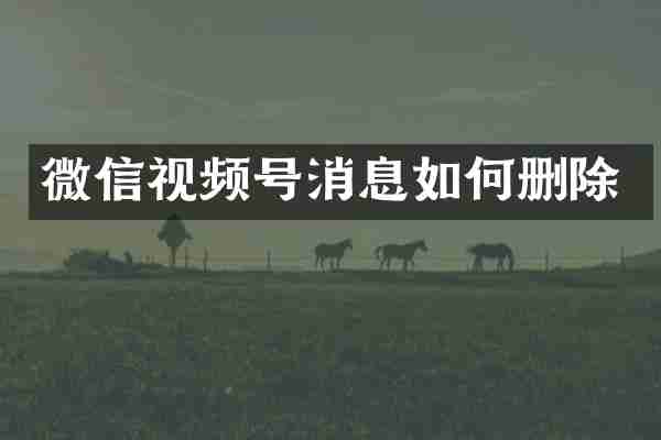 微信视频号消息如何删除