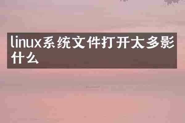 linux系统文件打开太多影响什么