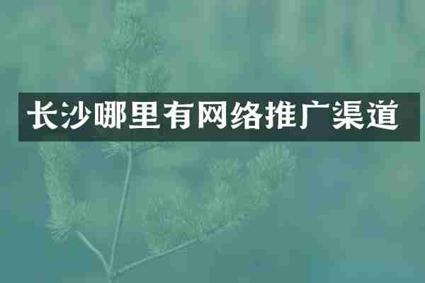 长沙哪里有网络推广渠道