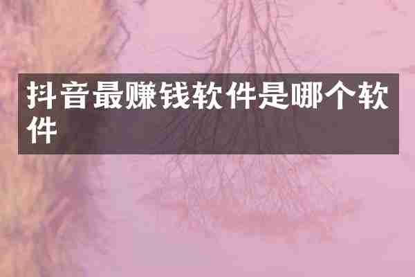 抖音最赚钱软件是哪个软件