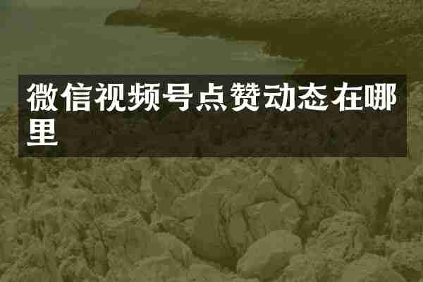 微信视频号点赞动态在哪里