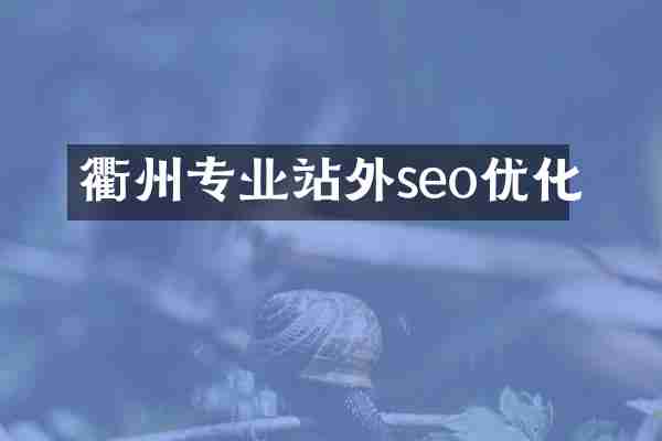 衢州专业站外seo优化