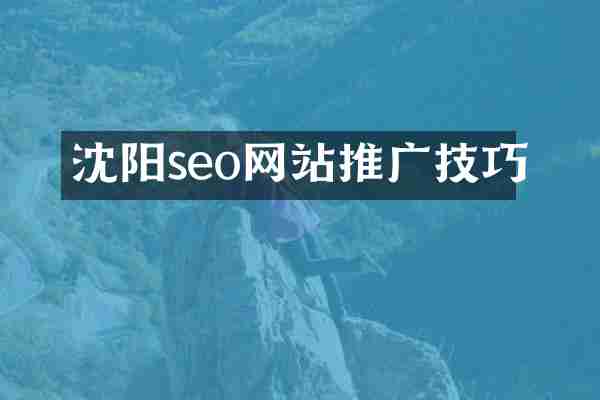 沈阳seo网站推广技巧