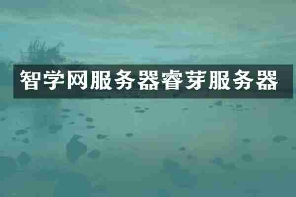 智学网服务器睿芽服务器