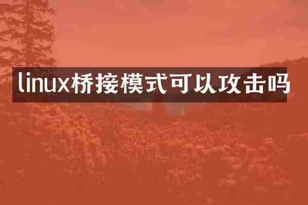 linux桥接模式可以攻击吗