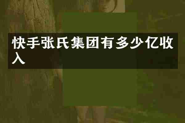 快手张氏集团有多少亿收入