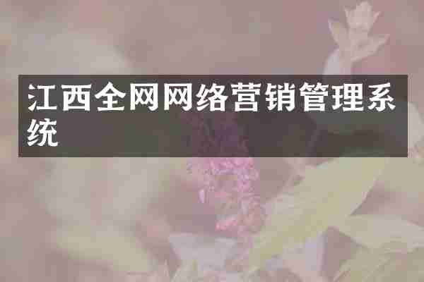江西全网网络营销管理系统