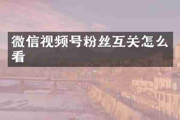 微信视频号粉丝互关怎么看