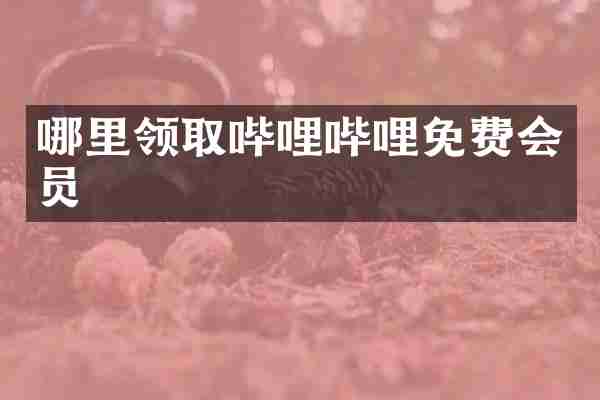 哪里领取哔哩哔哩免费会员