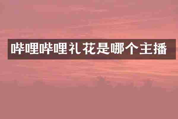 哔哩哔哩礼花是哪个主播