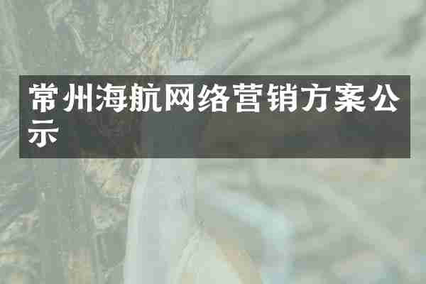 常州海航网络营销方案公示
