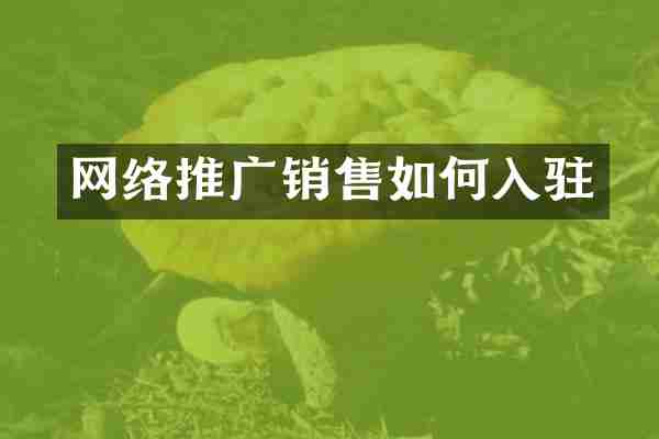 网络推广销售如何入驻