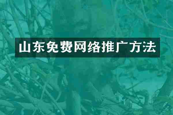 山东免费网络推广方法