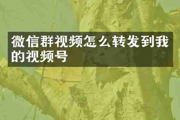 微信群视频怎么转发到我的视频号