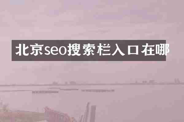 北京seo搜索栏入口在哪