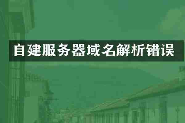 自建服务器域名解析错误