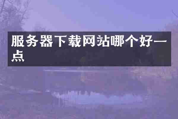 服务器下载网站哪个好一点