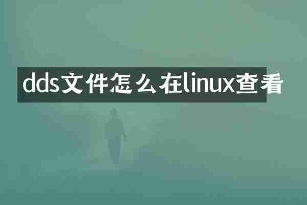 dds文件怎么在linux查看