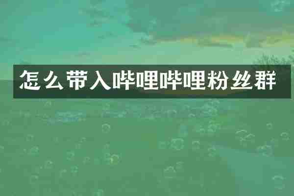 怎么带入哔哩哔哩粉丝群