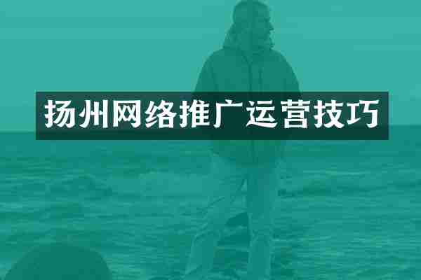 扬州网络推广运营技巧