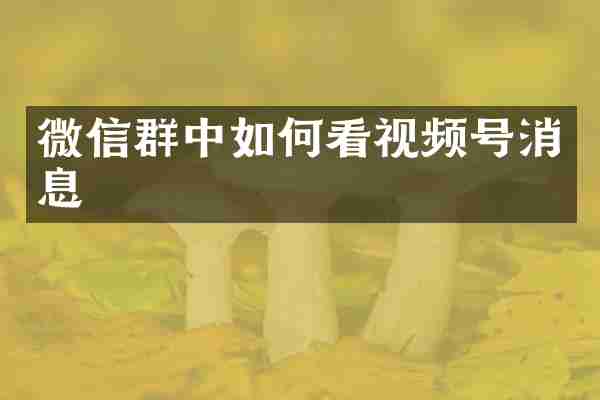 微信群中如何看视频号消息