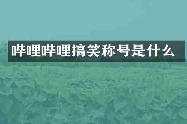 哔哩哔哩搞笑称号是什么