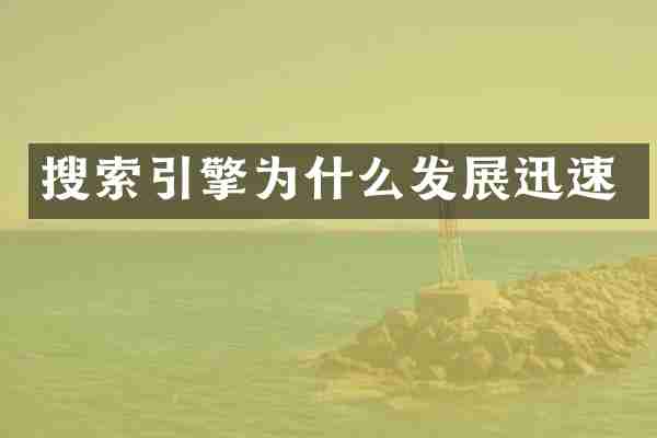 搜索引擎为什么发展迅速