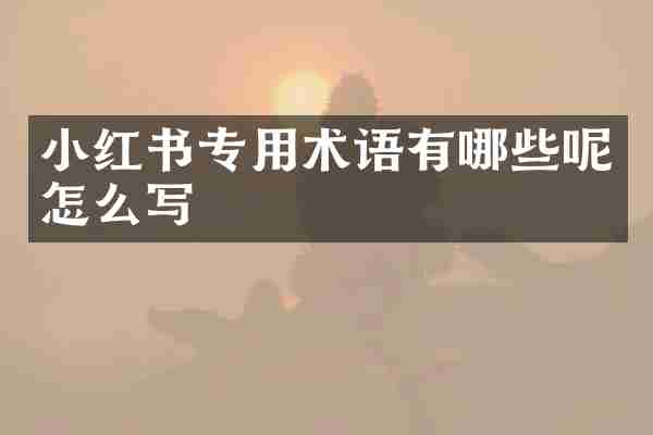 小红书专用术语有哪些呢怎么写