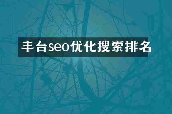 丰台seo优化搜索排名