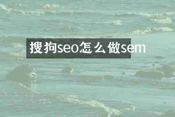 搜狗seo怎么做sem