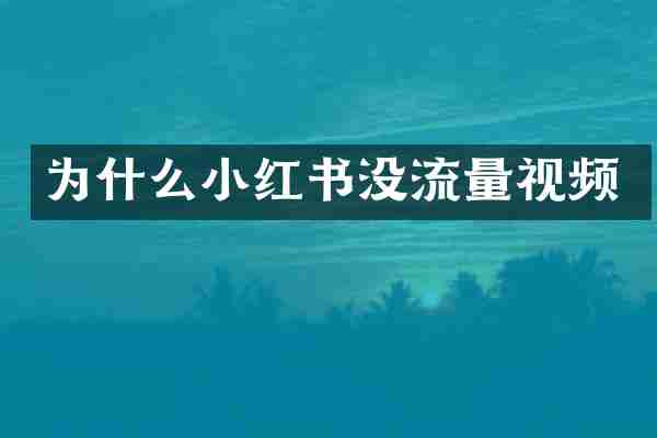 为什么小红书没流量视频