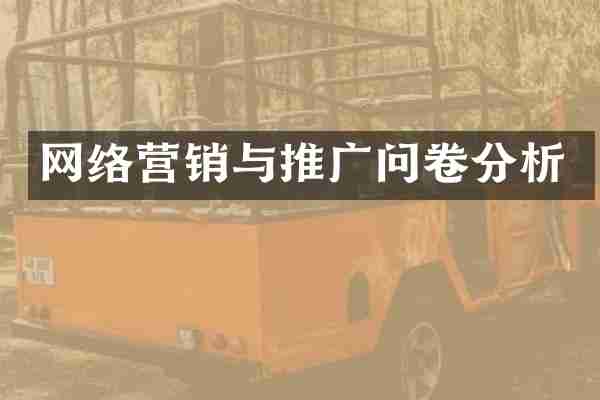 网络营销与推广问卷分析