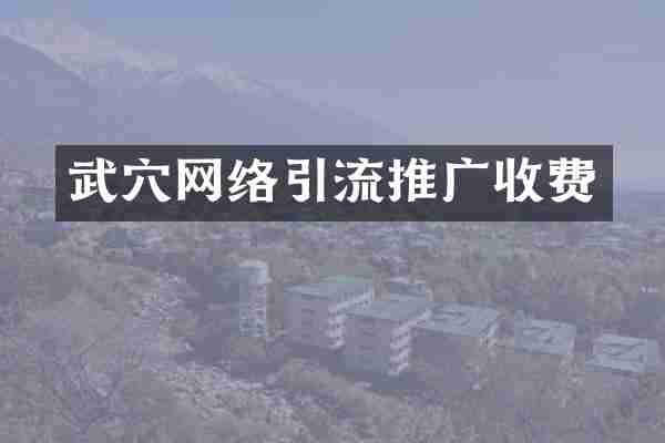 武穴网络引流推广收费