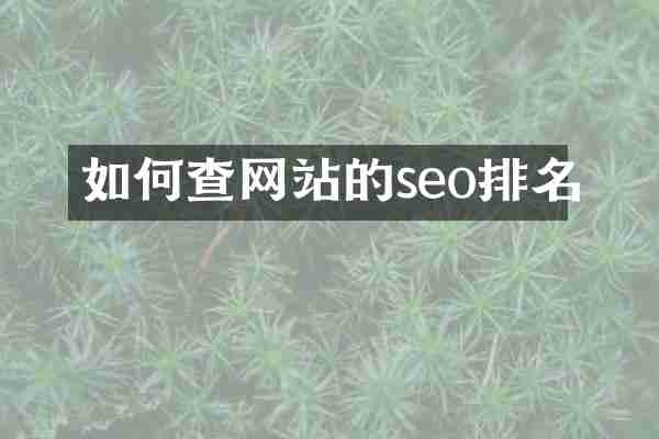 如何查网站的seo排名