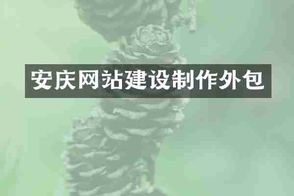 安庆网站建设制作外包