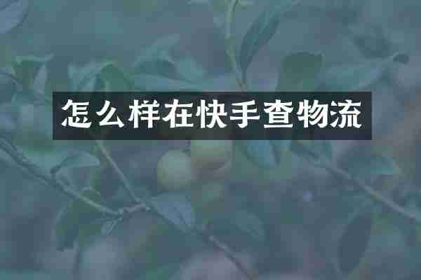 怎么样在快手查物流