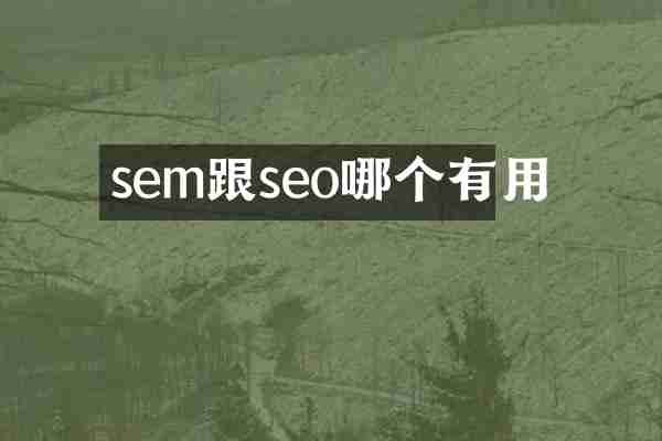 sem跟seo哪个有用