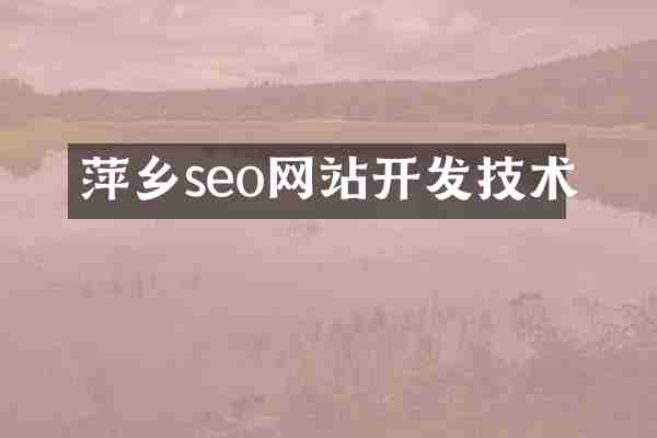 萍乡seo网站开发技术