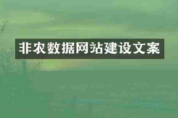 非农数据网站建设文案