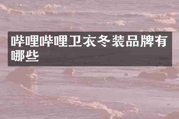 哔哩哔哩卫衣冬装品牌有哪些