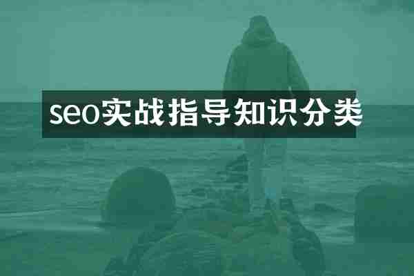 seo实战指导知识分类