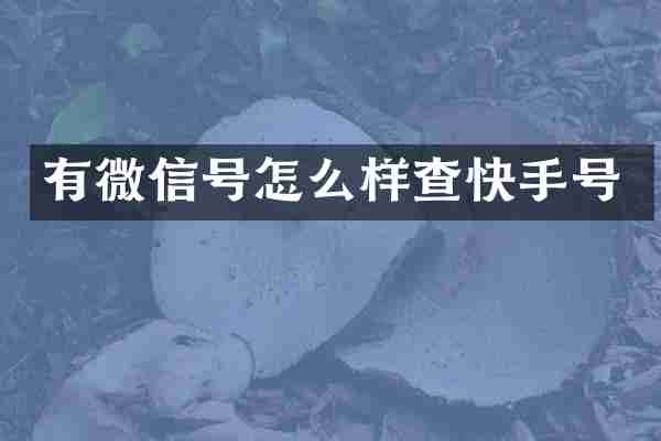 有微信号怎么样查快手号