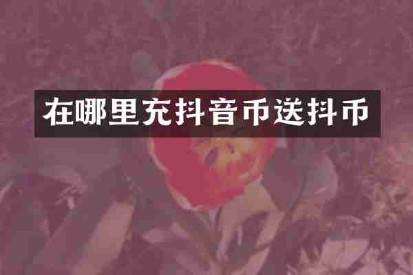 在哪里充抖音币送抖币