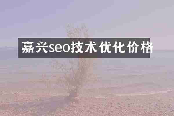 嘉兴seo技术优化价格