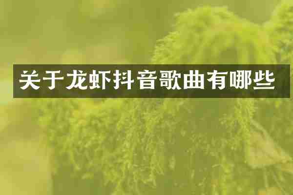 关于龙虾抖音歌曲有哪些