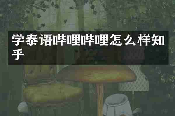 学泰语哔哩哔哩怎么样知乎