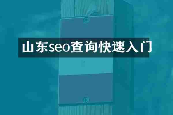 山东seo查询快速入门
