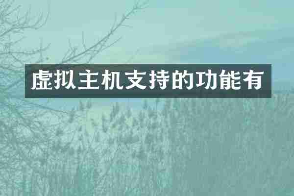 虚拟主机支持的功能有